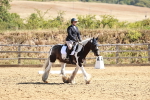 SBM_000811