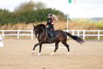SBM_009656