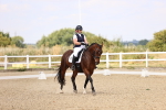 SBM_008541