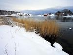 Grimstad  Hasseltangen