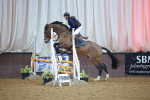 SBM_007493