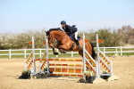 SBM_000507