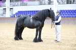 SBM_5297