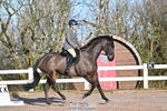 Dressage - CT Class 3 BE92 portfolio
