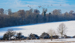 Wimpole Hall 16Dec22-38