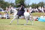 3E7A9661