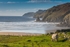 _DSC8034