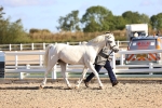 SBM_08460