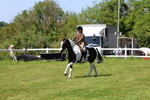Class 14: Ridden Coloured portfolio
