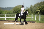 SBM_007875