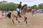BPP_5153
