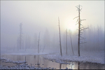 Daybreak Tangle Creek