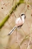 20120212-_MG_8572