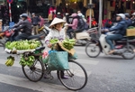 Hanoi street scene