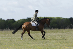 BVHT 140517 -6