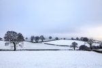 Snowy Landscape