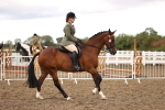SBM_00624