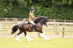 SBM_06193