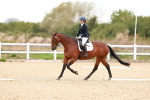 SBM_001017