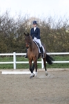 Dressage - Legacy B portfolio
