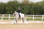 SBM_00712