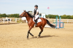 SBM_002528