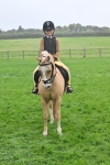 S43 - Ridden Equitation Best Rider portfolio