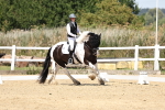 SBM_001588