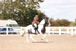 SBM_14481