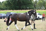 WJ6_6247