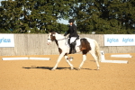 SBM_16444