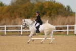 SBM_010366