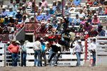 3HRodeo7-20-25_CFD_03195_