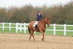 Class 5 - Novice 27 portfolio