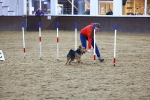 SBM_006094