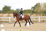 SBM_010837