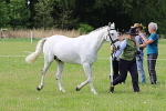 SIAL2845
