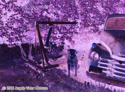Infrared portfolio