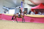 SBM_06362