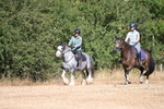 WJ6_7785