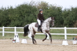 SBM_016850