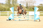 SBM_003685