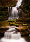 scaleber force