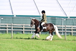 SBM_11404