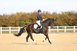 SBM_009537