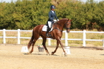 SBM_017534