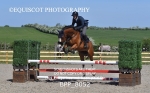 BPP_8052