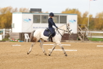 SBM_000268