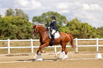 SBM_006233