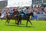 230526-Race 2-Possessive-6190